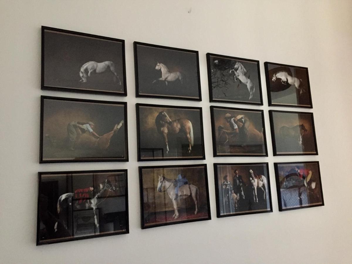 Bella Vista -Malpensa Airport-Leonardo- Apartment Varallo Pombia ภายนอก รูปภาพ